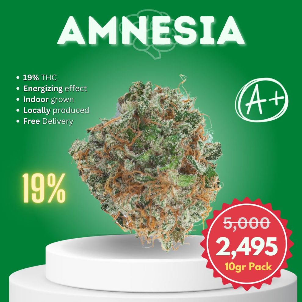 Amnesia (10gr Value Pack) | PrikPot