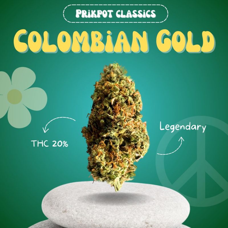 Colombian Gold PrikPot