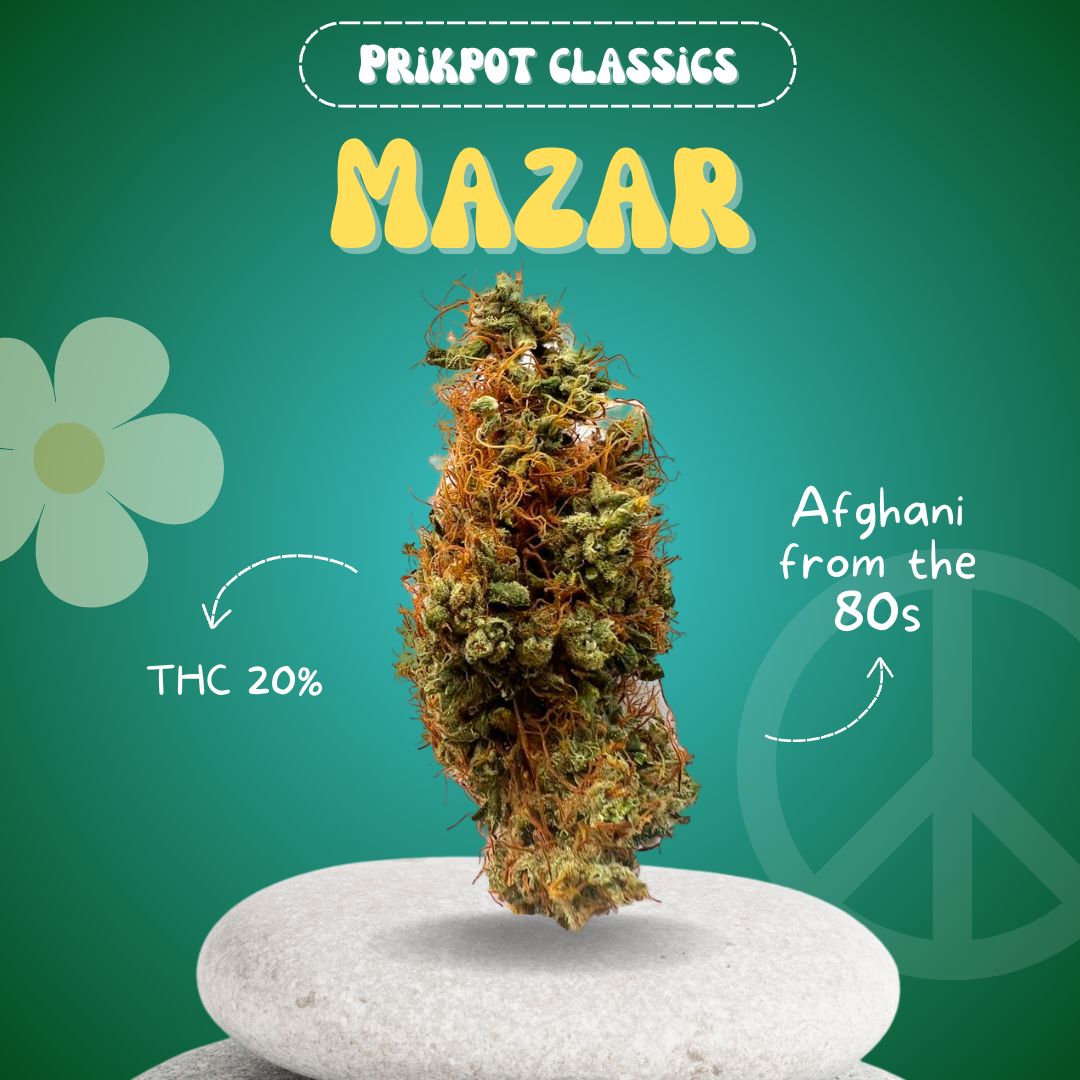 Mazar PrikPot