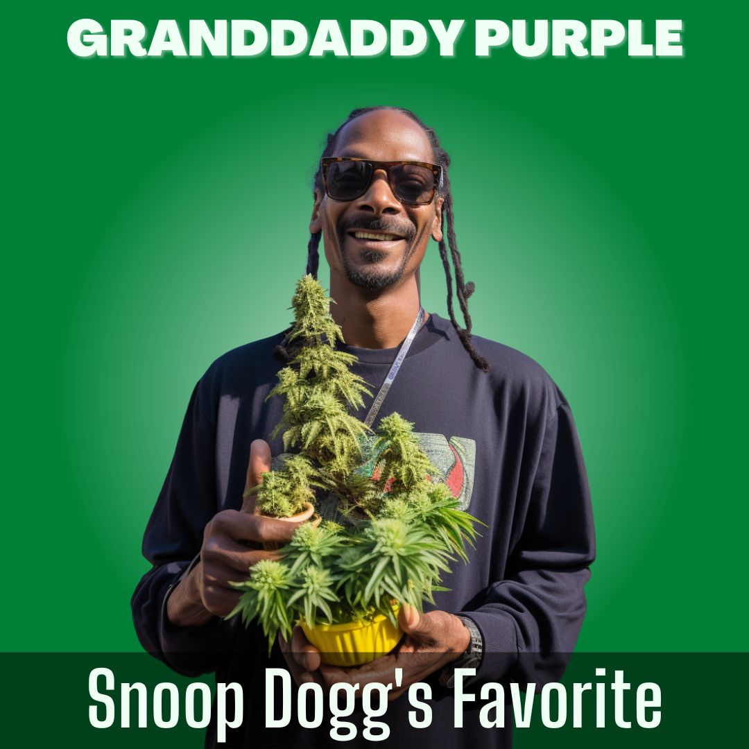 Granddaddy Purple GDP PrikPot