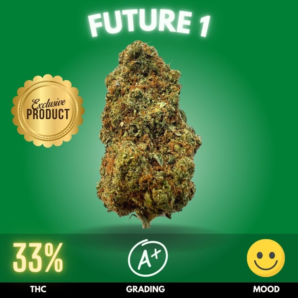 Future 1 PrikPot